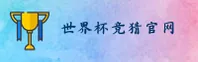 使用指南与常见问题